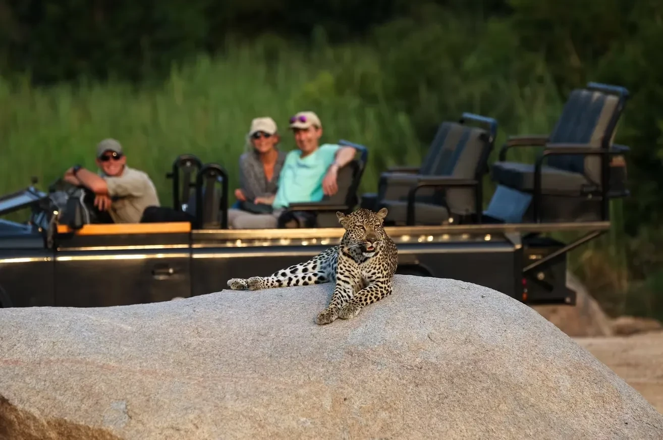 A leopard rests on a large rock while safari guests observe from an open vehicle in Sabi Sands Game Reserve, South Africa. This close wildlife encounter captures the essence of a luxury African safari experience in one of the continent’s premier big cat destinations.