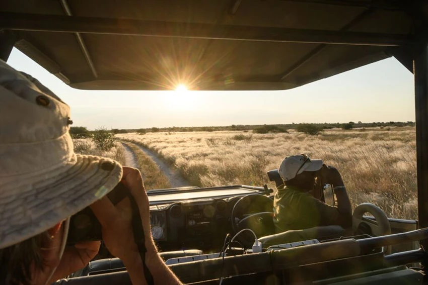 View from the back of a safari vehicle as guests use binoculars to scan the golden grasslands of Kgalagadi, Botswana, during an African safari. The sun sets over the horizon, casting warm light across the remote and wild landscape.
