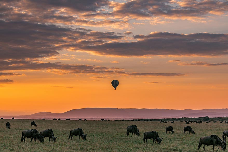 Spectacular Tanzania African safari in the Serengeti with herds of wildebeest grazing beneath a glowing sunrise as a hot air balloon floats across the sky