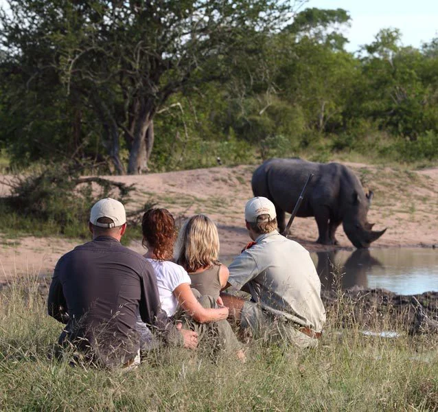 Guests exploring the African wilderness on a guided walking safari