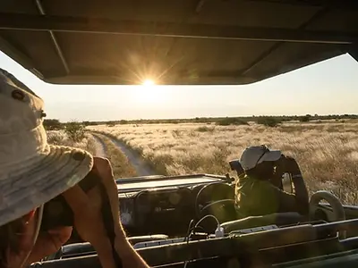 Safari adventure at sunset: Two people in an open-top jeep, one using binoculars, explore the African savanna. Golden light illuminates the grassy plains and dirt road. #safari #africa #travel