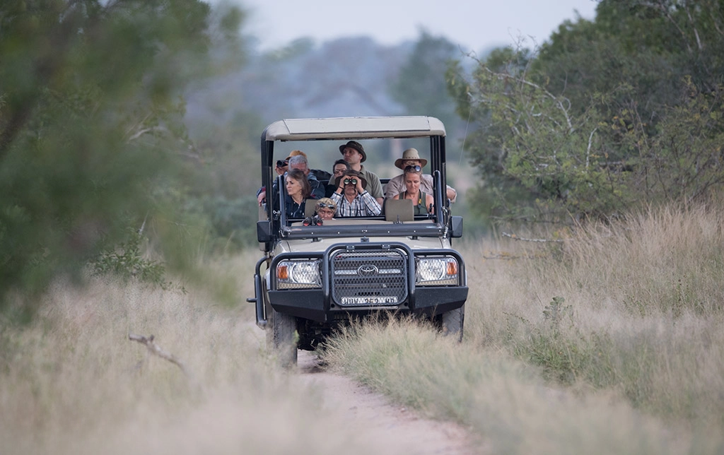 A safari vehicle carrying tourists in South Africa drives down a dirt road in a grassy South African landscape, with trees and bushes visible.