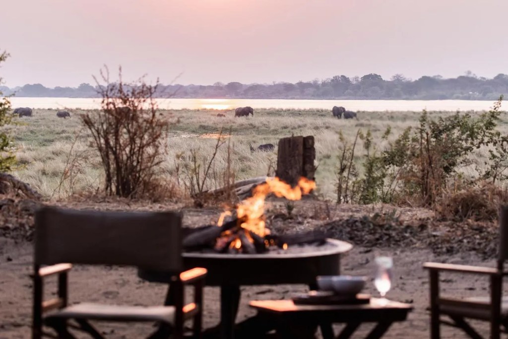 Campfire glows at dusk overlooking a savanna with elephants by a river, evoking a serene African safari experience.